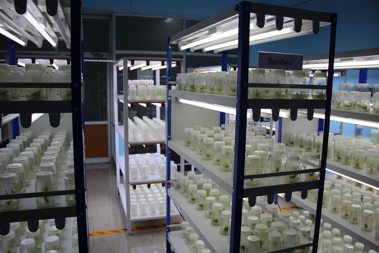 tissue culture laboratory furniture