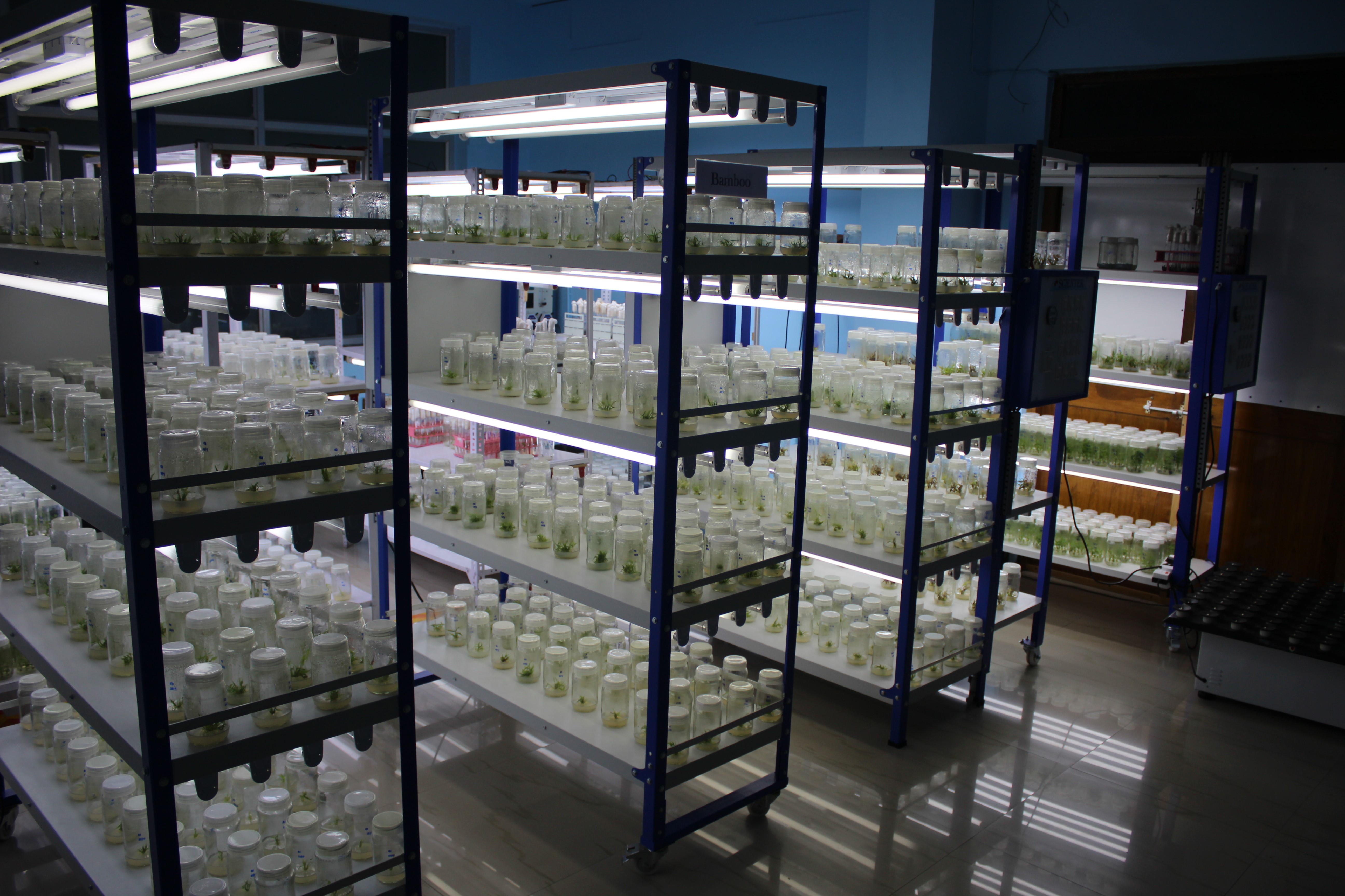 tissue culture rack for laboratory in chennai
